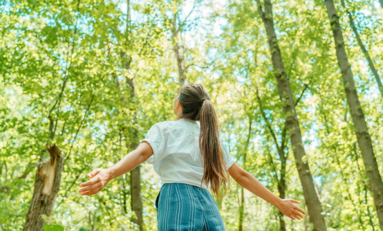 Environmental Health Basics for Safe and Clean Homes