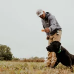 Easy and Proven Retriever Training with Field Trial Dog Trainers