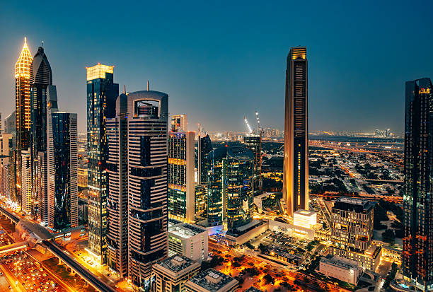 Can 5 Feasibility Study Insights Drive Innovation?