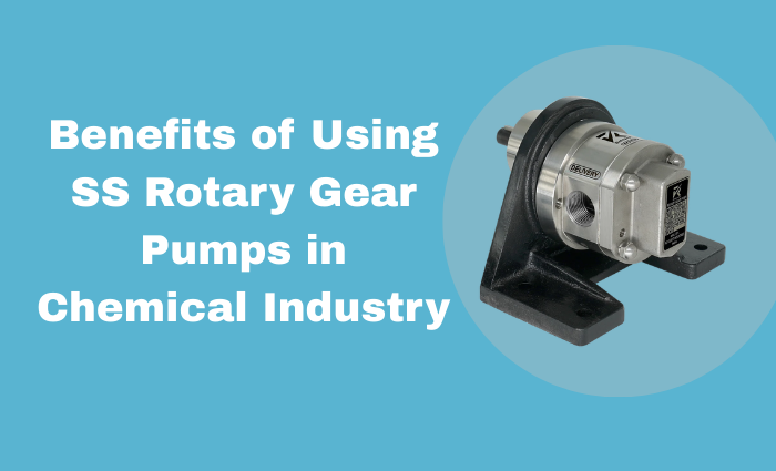 Rotary Gear Pump for Chemical Industry