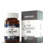 Best CBD capsule to add to your everyday wellness routine