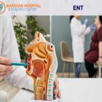 Understanding Specialist Care for Ear, Nose, and Throat Health