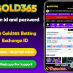 Gold365 Review 2026: A Trusted Betting Platform for Smart Players