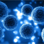 Is Mesenchymal Stem Cell Therapy a Modern ED Solution?