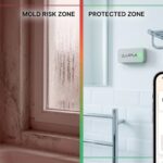 Mold Prevention in Rental Properties: How Layla Detects Risk Before It Becomes a Problem