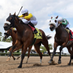 Mysore Race Club Live Racing Updates, Results & Performance Guide