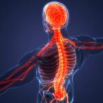 How Does Advanced Functional Rehabilitation Improve Recovery?