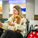 Professional Dog Boarding: Ensuring Your Pet’s Comfort and Safety
