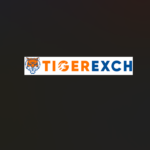 Online Sports Betting: A Beginner-Friendly Guide with a Look at Tiger365Pro