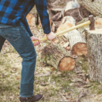 Complete Guide to Tree Pruning Service Daphne AL and Stump Grinding Daphne AL