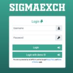 Sigmaexch: A Reliable Betting ID Platform for Seamless Online Wagering