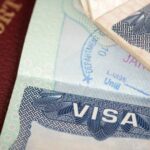 Business Visitor Visa (Subclass 600): Everything Explained