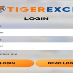 Tiger365 Pro: A Reliable Platform for Secure Betting IDs