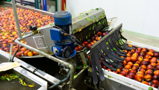 Tomato Paste Transfer Pump: Reliable Solutions for Food Processing