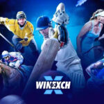 Winexch Game: A Complete User Guide to Features, Gameplay, and Benefits
