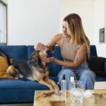 How Often Should You Apply Calming Lotion on Your Dog?