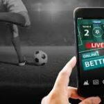 Winning at Virtual Sports: The Playinexch365 Performance Review