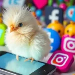 What Makes Internetchicks So Engaging for Users?