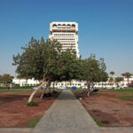 Solve 30% ROI Loss in KSA via Feasibility Studies