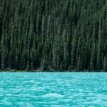 Reflected Wisdom on Things That God Hates