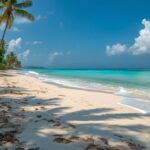 Safari Diani Beach Kenya for Beach and Wildlife Lovers