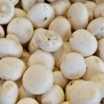 Mushrooms in Cooking: Tips, Tricks, and Best Recipes