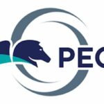 Pega Training in Chennai