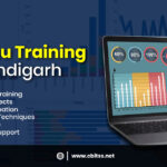 How to Build Future-Ready Data Visualization Skills and What You Should Know Before You Start