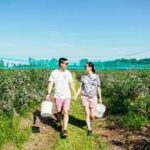 Weekend Getaway from Sarnia Perfect Escapes for a Refreshing Break