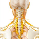 Is a Spine Specialist Bend Oregon the Right Choice for Relief?
