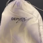 Understanding the Role and Structure of a Deputy Department