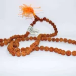 Buy 5 Mukhi Rudraksha Mala for Peace, Meditation, and Spiritual Growth