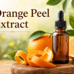 Orange Peel Extract Market Size and Share Analysis 2026–2034
