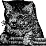 Why Are Cat Embroidery Designs So Popular in Modern Fashion Trends?