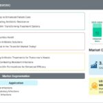 Ticarcillin Market Demand Analysis: Growing Need for Effective Gram-Negative Bacterial Infection Treatments