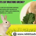Are Mustard Greens Good for Rabbits? Benefits and Precautions