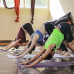 Discover the Best Yoga School in Arambol Goa for a Transformative Journey
