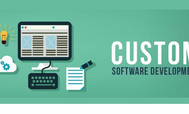 How Can Custom Software Development Improve Growth?