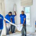 Why Professional Dubai Relocation Services Save Time and Money