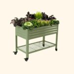 Easy Elevated Garden Bed Guide for Home Growers