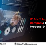 IT Staff Augmentation Company: Benefits, Process & ROI