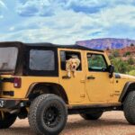 Logbook Jeep Service vs Regular Jeep Service – What’s Better In Australia?