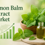 US Lemon Balm Extract Market Size, Share, and Trends Analysis: Industry Forecast by Application and Key States to 2034