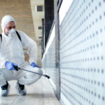 What Is the Best Attic Insulation for Pest Control Today?