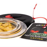 Best Magic Mushroom Chocolate: A Simple Buyer Guide Before You Pick a Bar