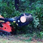 Trusted MS Tree Service for Safe and Efficient Tree Removal