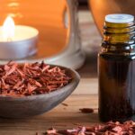 Waterless Diffuser Oil, Eucalyptus, and the Art of Choosing the Right Essential Oil for Your Home