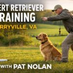 How to Train a Retriever the Right Way: Retriever Marking Drills, Puppy Training, and E Collar Training for Golden Retrievers