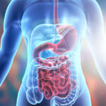 Chile’s digestive care market is becoming a pharmacy-first self-care category