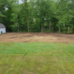 Safe Tree Removal and Stump Grinding for Residential Properties